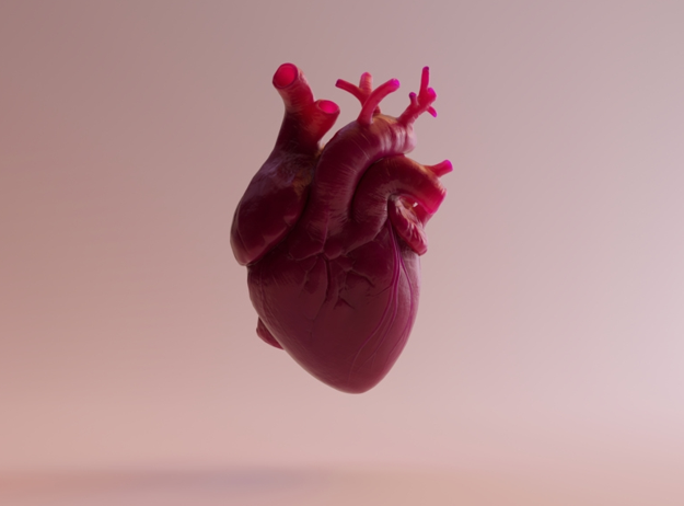 رویکرد جدید سلول درمانی برای بازسازی بافت قلبی پس از حمله قلبی